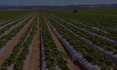 AGRI-PLASTICS USA 2025