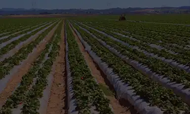 AGRI-PLASTICS USA 2025