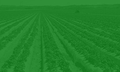 AGRI-PLASTICS USA 2025